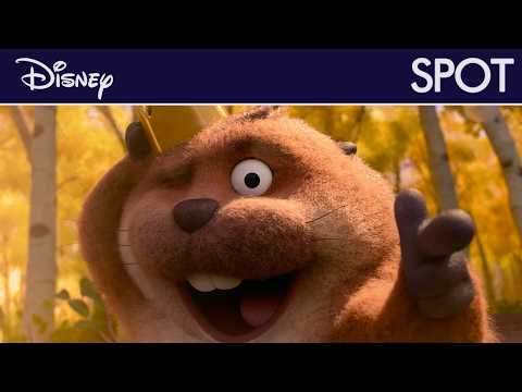 Jumpers - Spot : C'est le grand jour | Disney