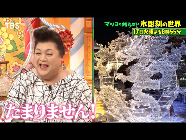 マツコの知らない世界🈖🈑【毎週火曜よる８時５５分！マツコ仰天！驚きの世界】