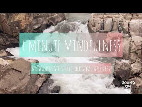 Washington Psychological Wellness video.