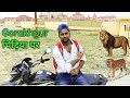 gorakhpur chidiya ghar vlog| gorakhpur chidiya ghar kaisa hai