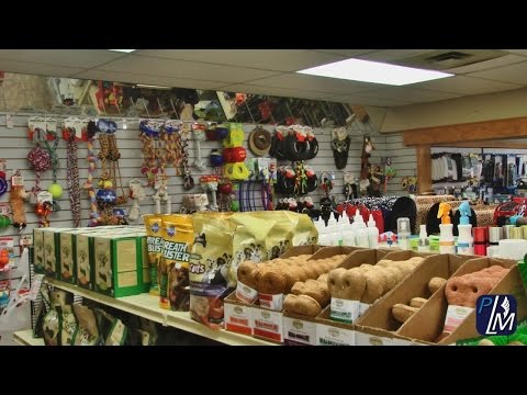 Aux deux colombes 2015