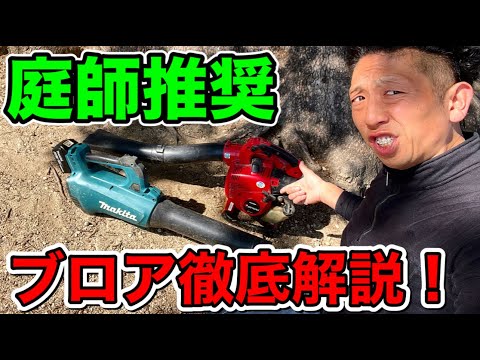 庭掃除に最適な道具は何ですか？リーフシュレッダーバキュームまたはリーフブロワー  庭園