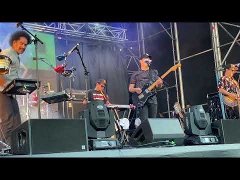 Black Seeds - Turn it around - Homegrown 2021