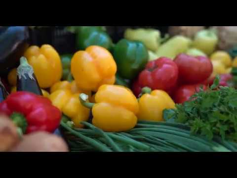 Visit Split - City of Gastronomy