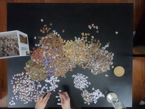 Timelapse of 3000 Piece Jigsaw Puzzle