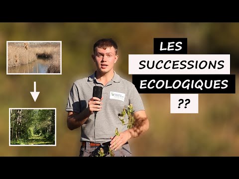 ECOLOGICAL INHERITANCES: What are they? #ecology