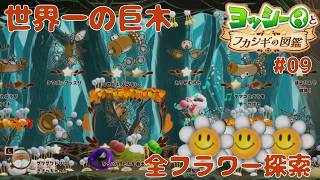 【ヨッシーとフカシギの図鑑 どんどん面白い面】全スペシャルフラワー🌼コンプ 「8章 世界一の巨木」【初見 探索 ノーカット】