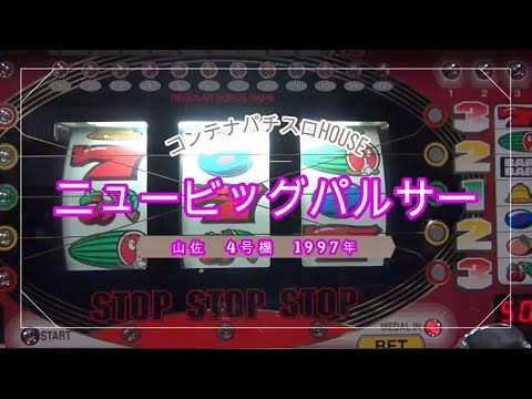 ニュービッグパルサーの動画