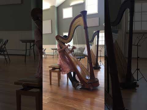 Harp Rondoletto by Francois Joseph Naderman/ Dominic Bouchaud.