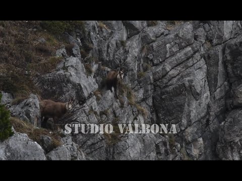 Atmosferë e vështirë dimërore - Tough winter atmosphere