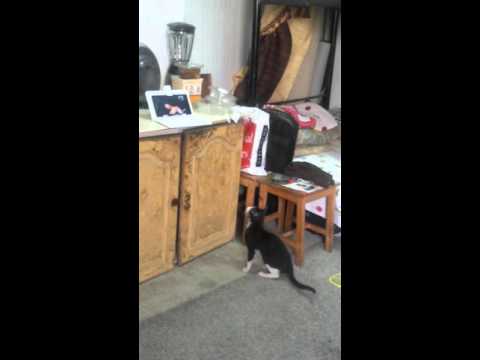 ape kamare inna pusaa sindu ahana heti