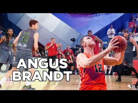 Perth Wildcats - Introducing Angus Brandt
