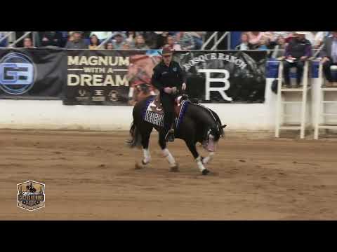 GunnerDiamondAgain and Gabriel Borges Cactus Reining Classic 223.5