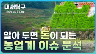 [대새탐구 EP01] 2023년 1월, 따끈따끈한 농업계 이슈 분석 | 돈이 되는 알짜 정보 모음Z…