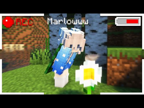 A Wild Marlow Has Been Spotted | Short Documentary