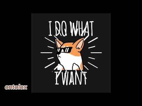 Ontolox - I DO WHAT I WANT
