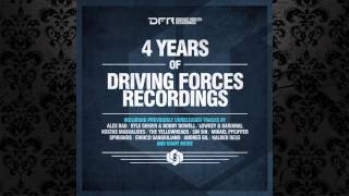 Ricardo Garduno , Andre Ramos - Contact (Original Mix) [DRIVING FORCES RECORDINGS]