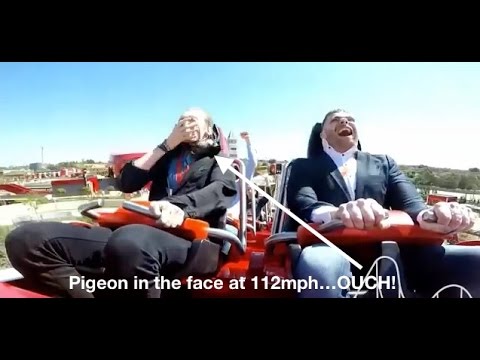 Guy gets hit in the face by a pigeon on the Red Force Rollercoaster at Ferrari Land!