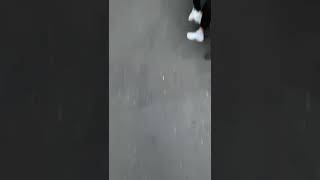 Хотели бы встреть счастливый кулачек? #Shorts