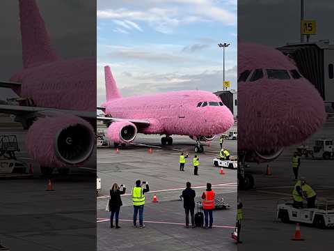 Pink Furry Aircraft #monsty #plane #aeroplane #airlines #airplane #creativeideas