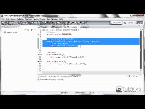 Learn How to apply the concept of inheritance in Java - Mind Luster