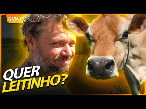 , title : 'A PEQUENA JERSEY DA MUITO LEITINHO! | RICHARD RASMUSSEN'