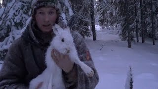 На промысле пушного зверя.  Часть 9.