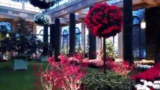 preview picture of video 'Longwood Gardens Christmas 2013 Inside Part 2'