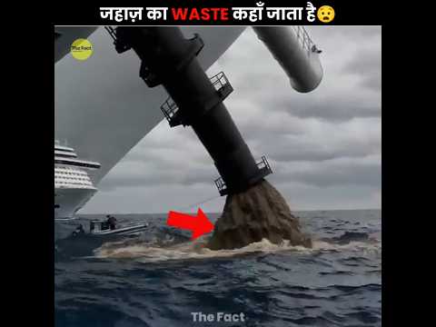 How Cruise Ships Dump Sewage 💩