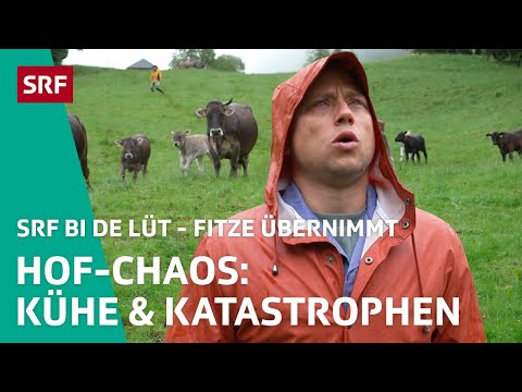 Hofleben hautnah: Kühe, Kinder und ein WC-Desaster | Fitze übernimmt S3 1/4 – SRF bi de Lüt | SRF