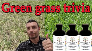 Free black seed oil - March trivia