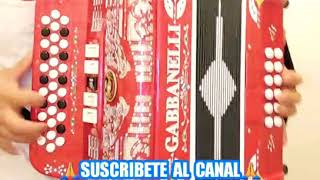 Dracula. LOS TUCANES DE TIJUANA