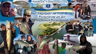 preview picture of video 'Das Angeljahr im Top-Revier Peenestrom am MolaBeach-Angelcamp Halbinsel Peenemünde'