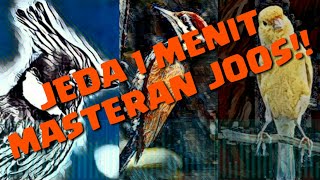 Download lagu MASTERAN BURUNG SUARA JERNIH || CILILIN,PELATUK BAWANG DAN KENARI  #KENARI #CILILIN #PELATUK BAWANG mp3