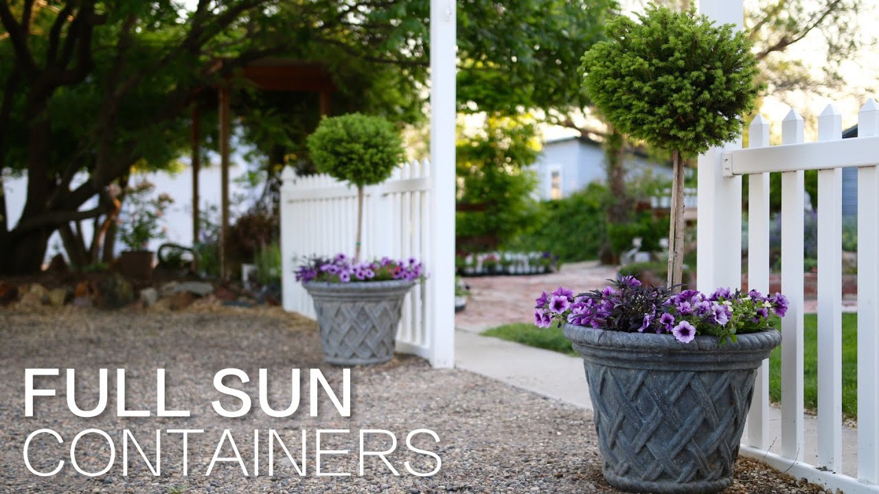 How To Underplant a Shrub in a Container