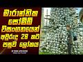 සෝම්බි වසංගතයෙන් අවුරුදු 28 පසුව කතාව �