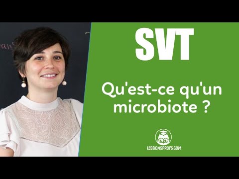 Qu'est-ce qu'un microbiote ? - Les Bons Profs