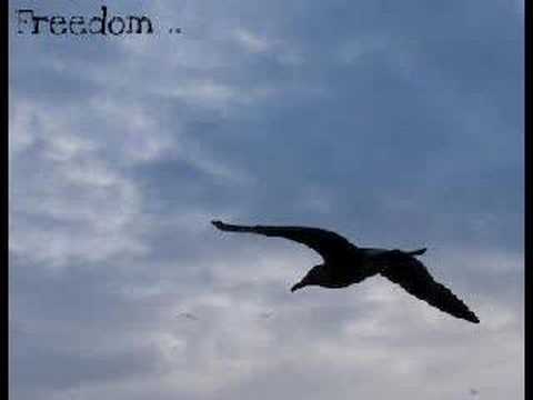 Pumpz ft. Lil' M - Piiratud Vabadus (Limited Freedom)