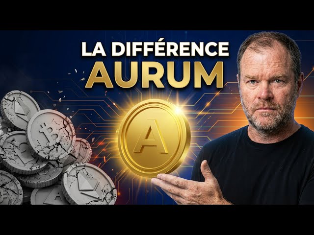 Présentation vidéo Aurum Foundation — Team Millionnaire