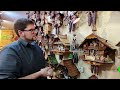 The ultimate Cuckoo Clock Buying Guide - things you need to know!