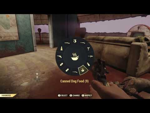 2 Brothers bit chen: Fallout 76