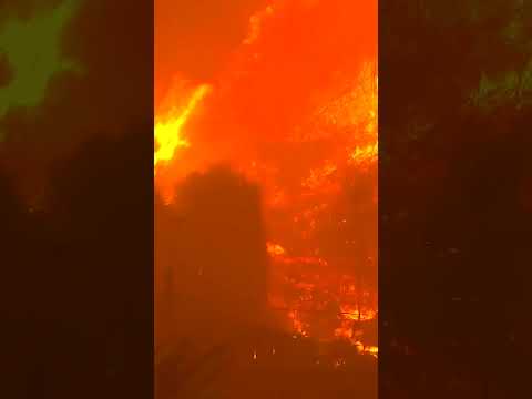 Gran incendio forestal amenaza viviendas en Concepción