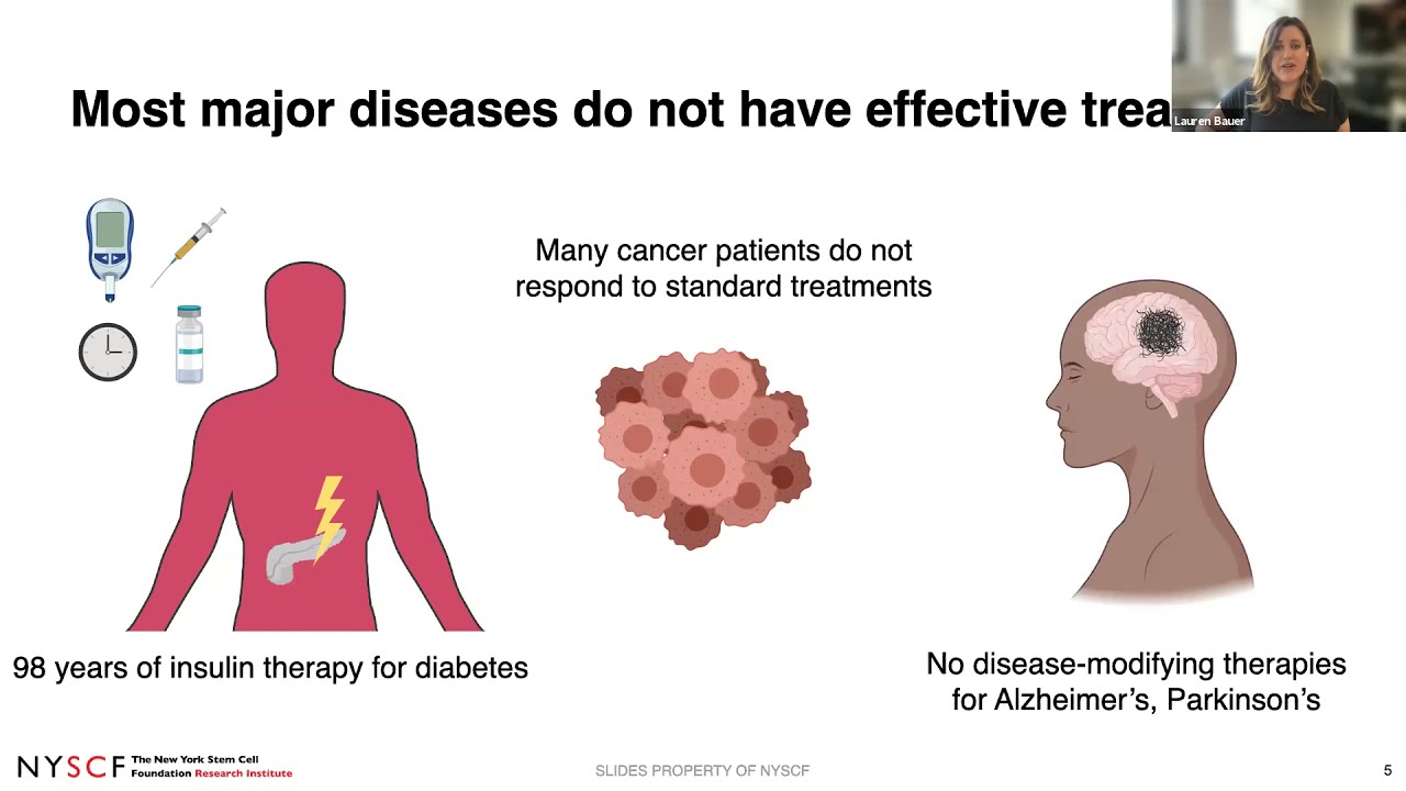 Becoming a Scientist: Career Paths in STEM