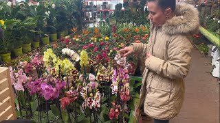 ALMANYA BAUHAUS ta neler var #vlog #almanya #belçika #türkiye #flowers