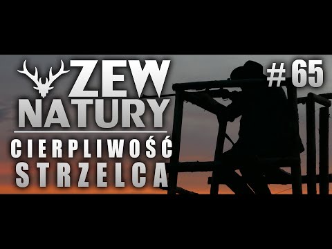 Zew Natury #65 - Strzał
