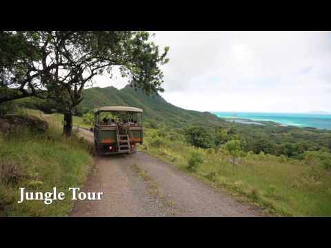 Kualoa Jungle Expedition Tour