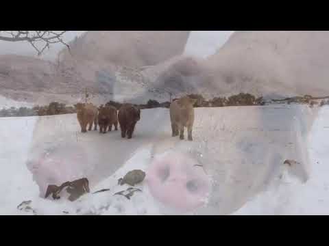 Photographer captures the mighty Kingdom of Mourne in the snow
