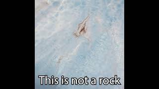 Download lagu This is not a rock | RK3 Designs #shorts https://youtu.be/HxY5KnQOtiM mp3 Download lagu This is not a rock | RK3 Designs #shorts https://youtu.be/HxY5KnQOtiM mp3