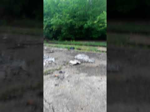 Fulton Missouri abandoned depot and tracks.