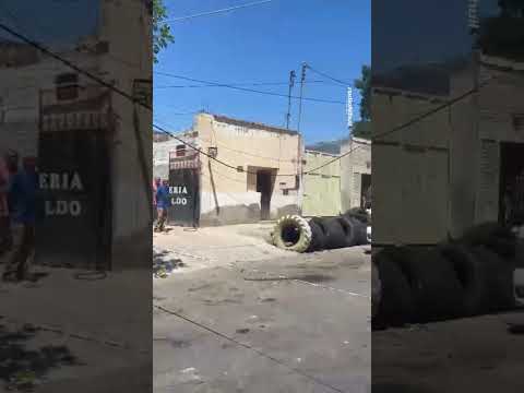 La CAÍDA de árboles y POSTES dejó sin LUZ ni CIRCULACIÓN en Las Heras